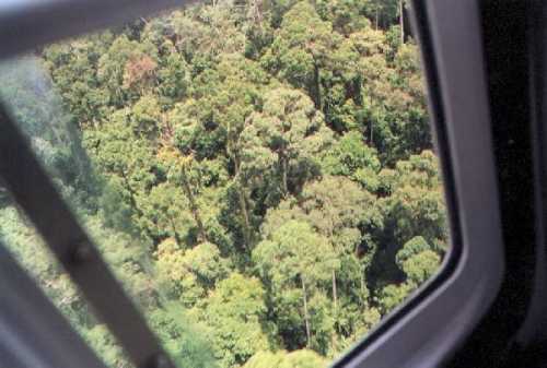 View from chopper of jungles below