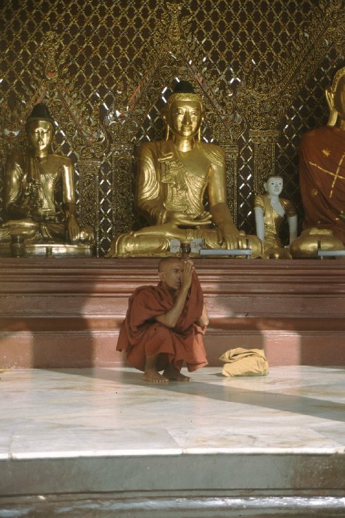 Praying Monk 1